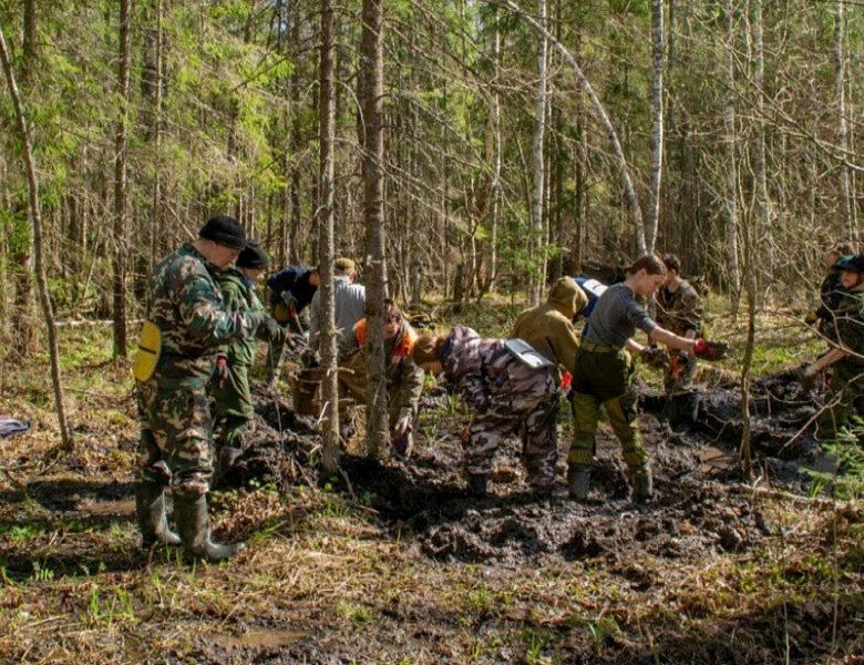 Керченские поисковики обнаружили останки 13 без вести пропавших бойцов Красной армии