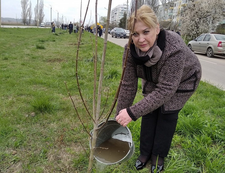 Аллея памяти  Г.Г. Чемоданова